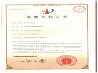 数字增益控制发明专利证书